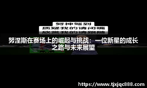 努涅斯在赛场上的崛起与挑战：一位新星的成长之路与未来展望